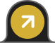 golden icon
